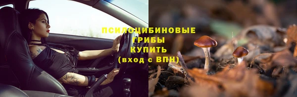 мяу мяу мука Магас