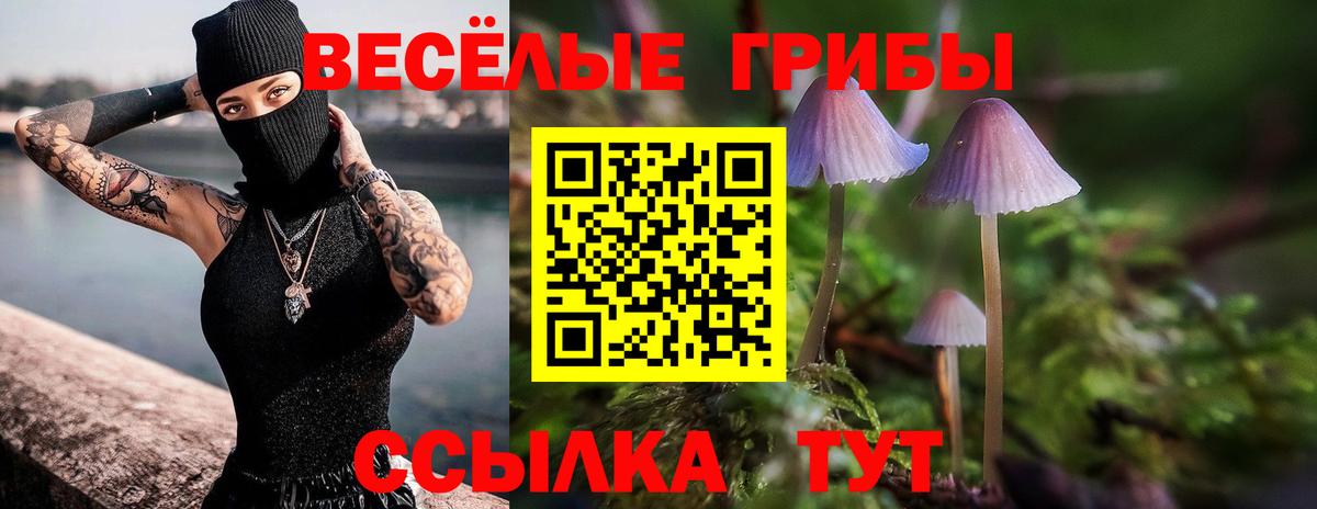 Галлюциногенные грибы MAGIC MUSHROOMS Красногорск